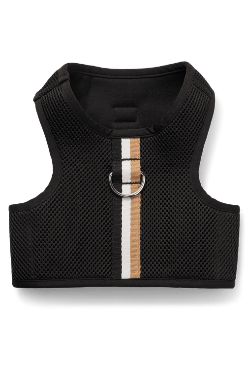 Peitoral Para Cães Mesclado Com Listras Icônicas