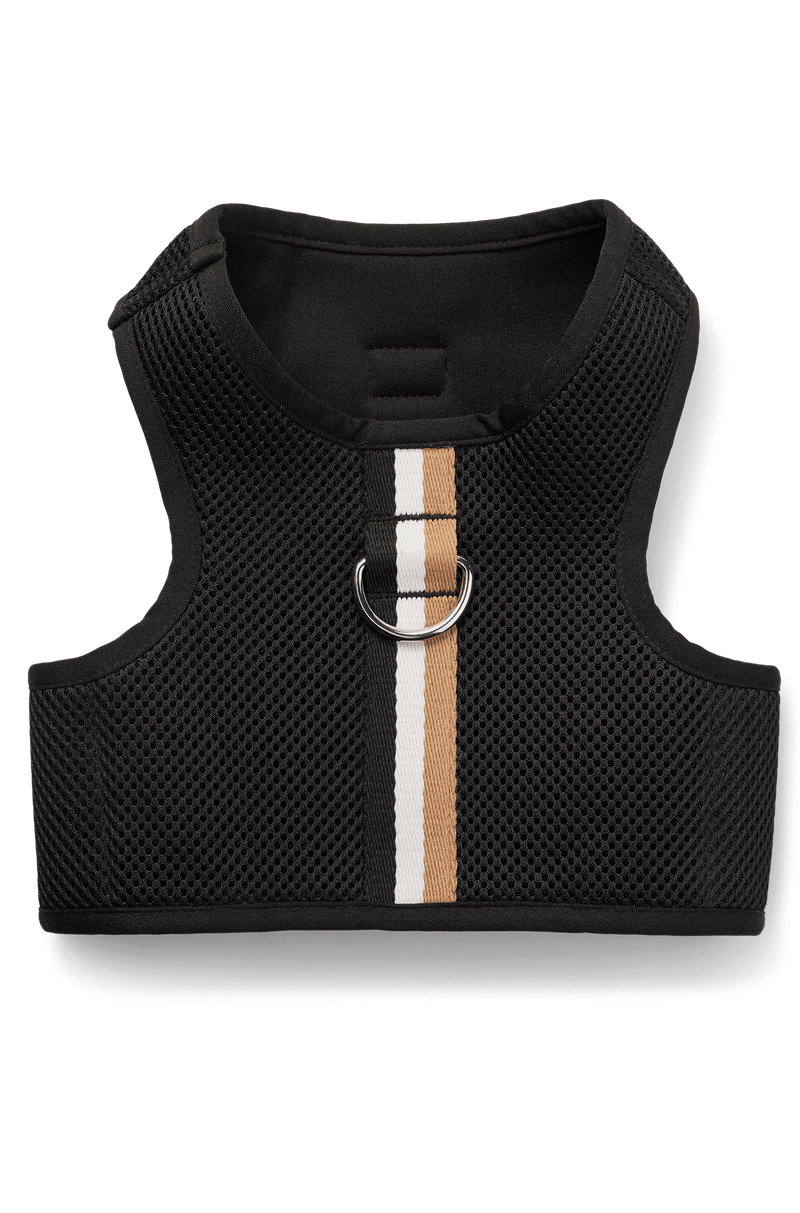 Peitoral Para Cães Mesclado Com Listras Icônicas